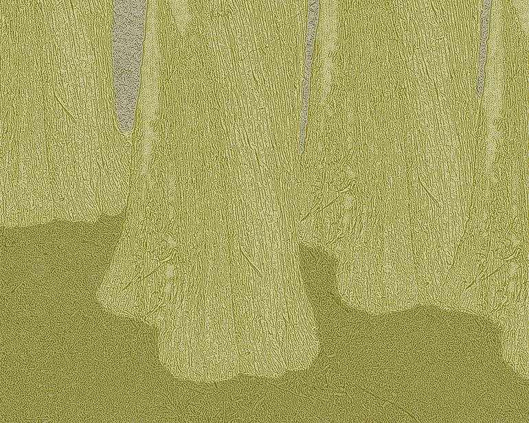 Original Digital Art Nature Digital by Maria Elena Reverte
