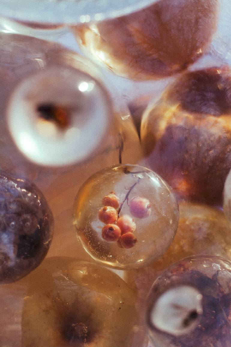 Original Conceptual Nature Sculpture by Natália ZavaďÁková