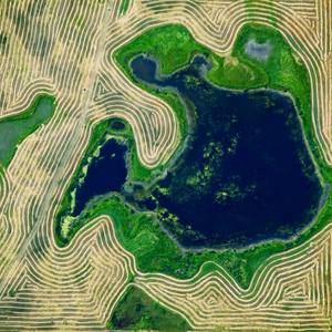 100 Curators Collection