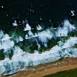 sea and flora .2 by Nicholas Baratta