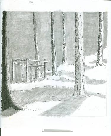 Original Expressionism Nature Drawings by Angelika Binegger-Hoerl
