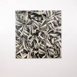 Collection Fair Directors Preview | The Other Art Fair Brooklyn | Spring 2025