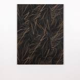 Collection Refined Atmospheres