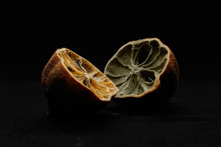 Original Conceptual Still Life Photography by Koji Hanabuchi