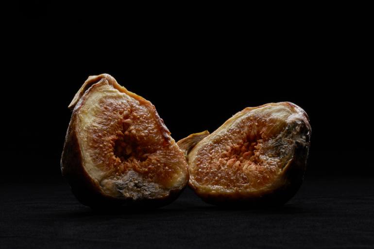 Original Conceptual Still Life Photography by Koji Hanabuchi