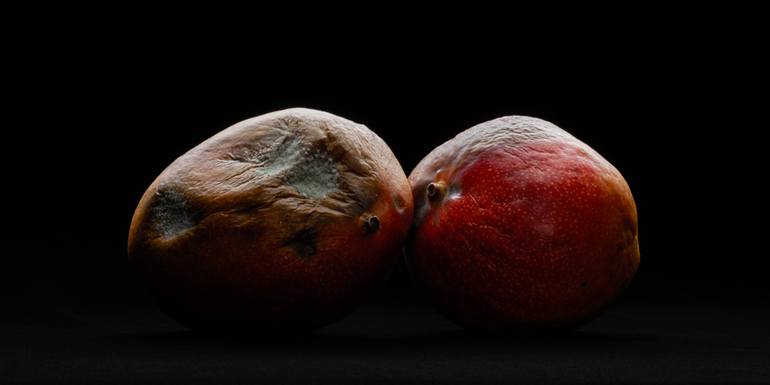 rotten「apple mango」 Photography by Koji Hanabuchi | Saatchi Art