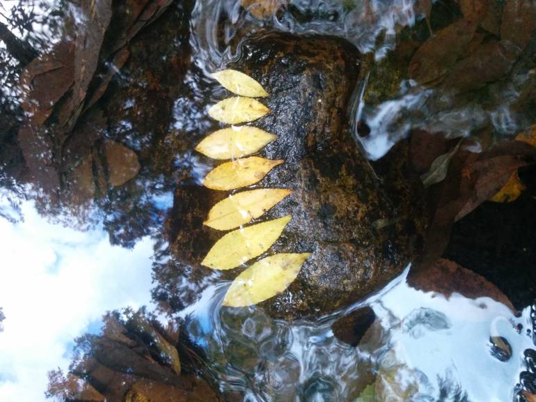 yellow leaves in rainforest (ephemeral dance) - Print