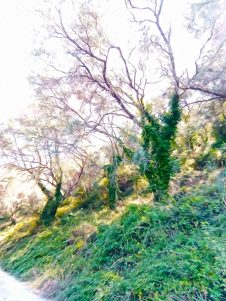 View in a Room Artwork