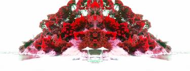 Original Abstract Nature Digital by Marek-Lars Kruusen