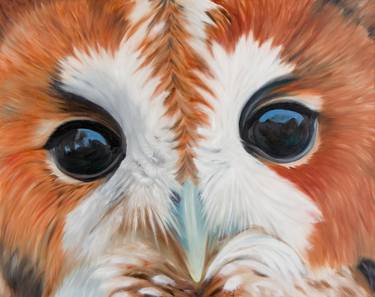 Saatchi Art Artist Virginia Buls; Paintings, “William (owl)” #art