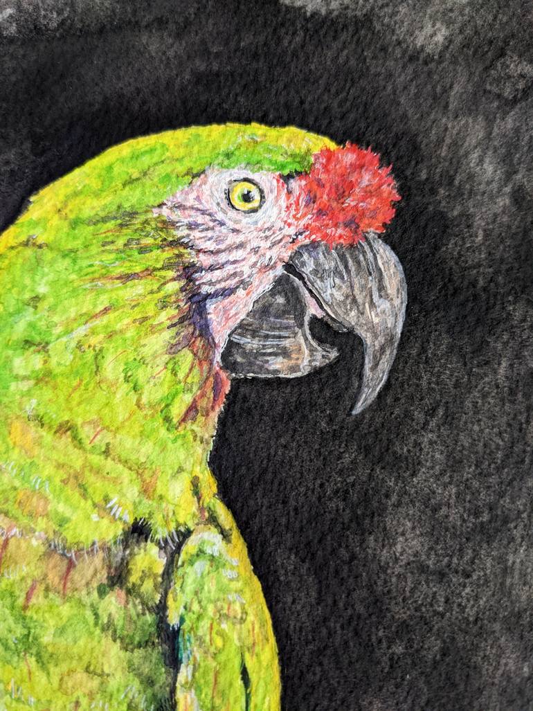 Original Modernism Animal Painting by Katy Broster