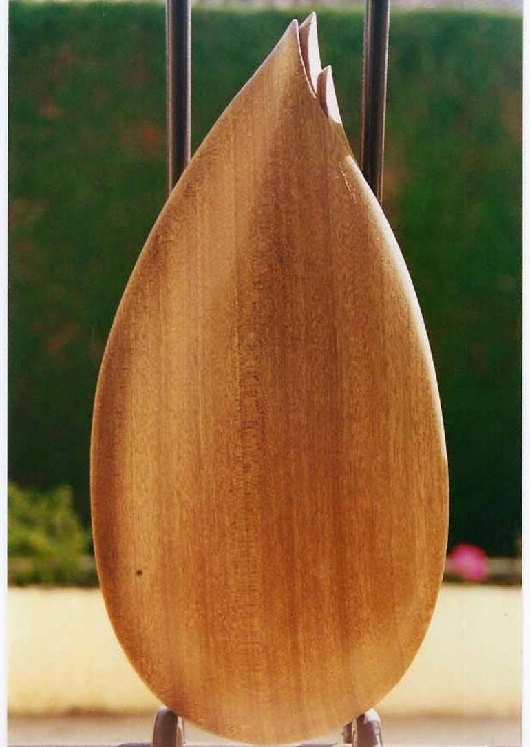 Print of Fine Art Nature Sculpture by Gyula Friewald