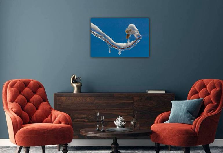 Original Art Deco Nature Photography by Tamara Morozova
