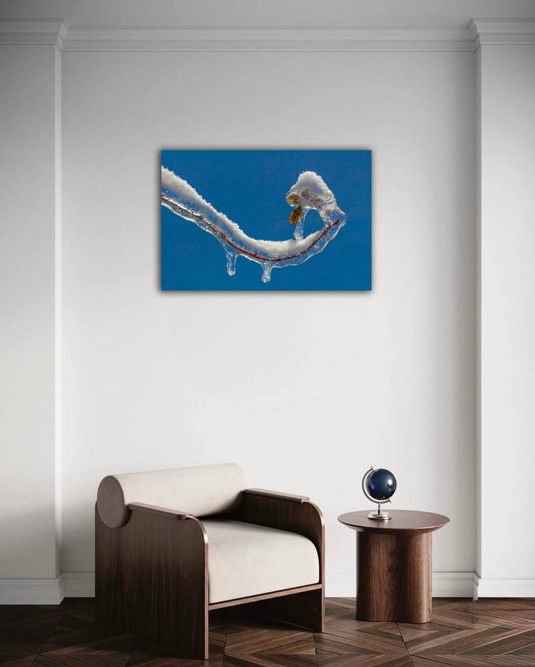 Original Art Deco Nature Photography by Tamara Morozova