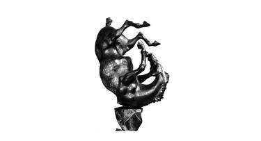 Original Figurative Animal Sculpture by Jumber Jikia