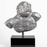 Paranthropus Robustus by Barry Davies