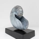 Nautilus by Barry Davies