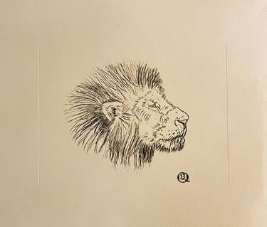 Original Illustration Animal Printmaking by Brian Quinn