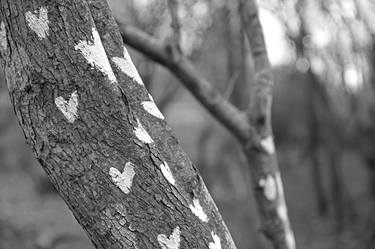 Original Black & White Patterns Photography by Liam Archer