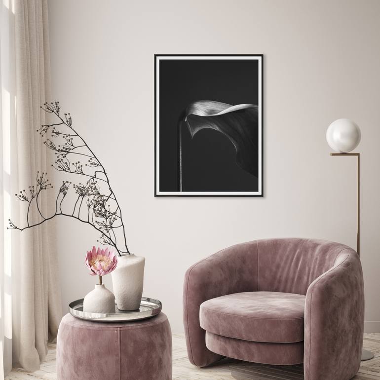 Original Black & White Still Life Photography by Catalin Marcu