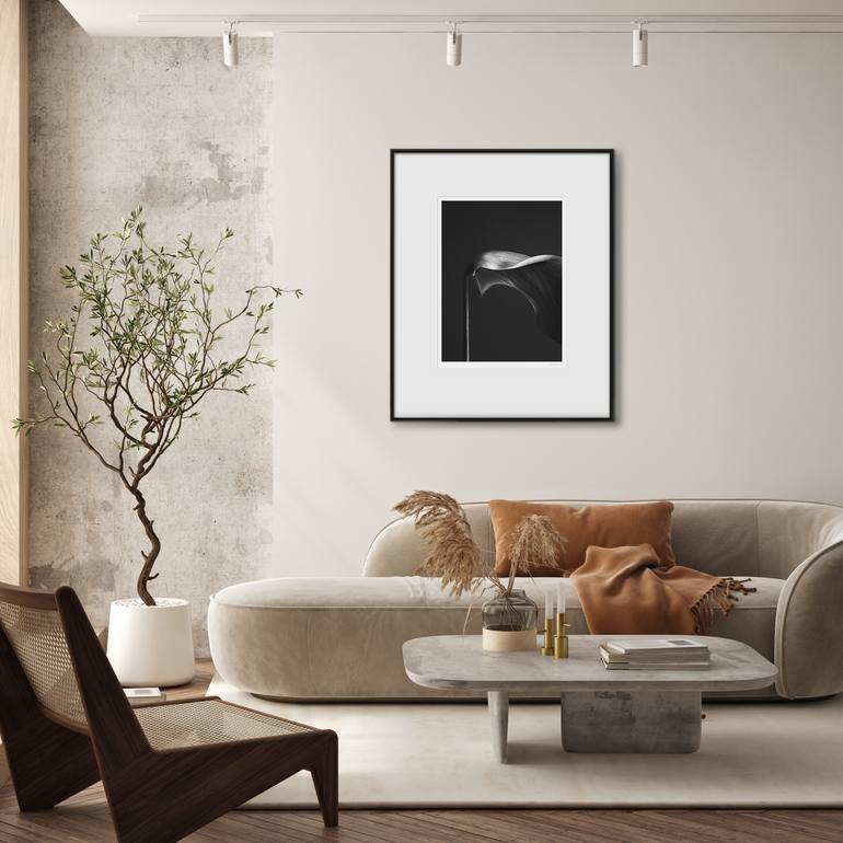 Original Black & White Still Life Photography by Catalin Marcu