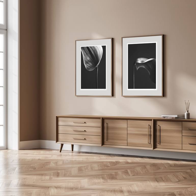 Original Black & White Still Life Photography by Catalin Marcu
