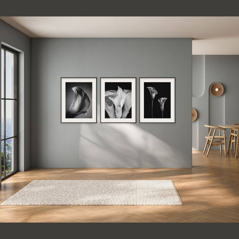 Original Black & White Still Life Photography by Catalin Marcu