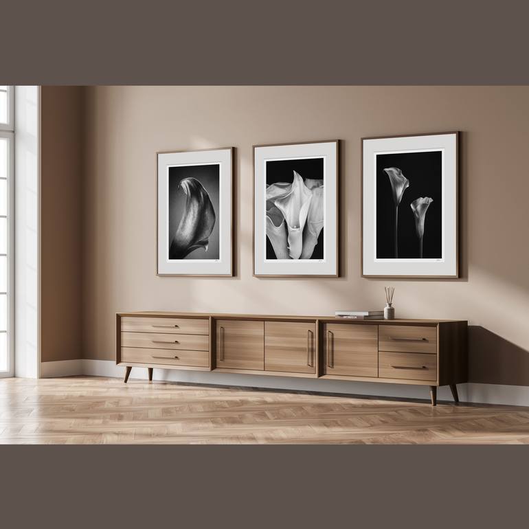 Original Black & White Still Life Photography by Catalin Marcu