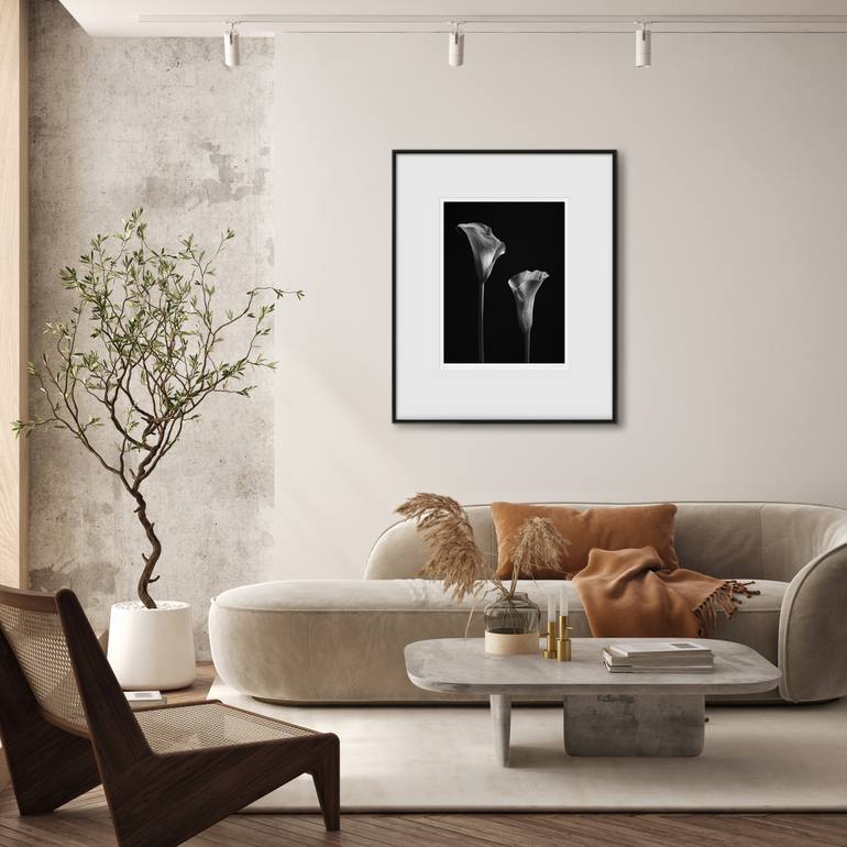 Original Black & White Still Life Photography by Catalin Marcu