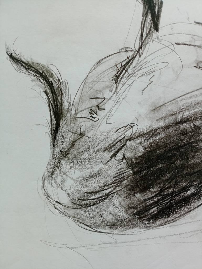 Original Expressionism Dogs Drawing by Anastasia Georgia Wildig