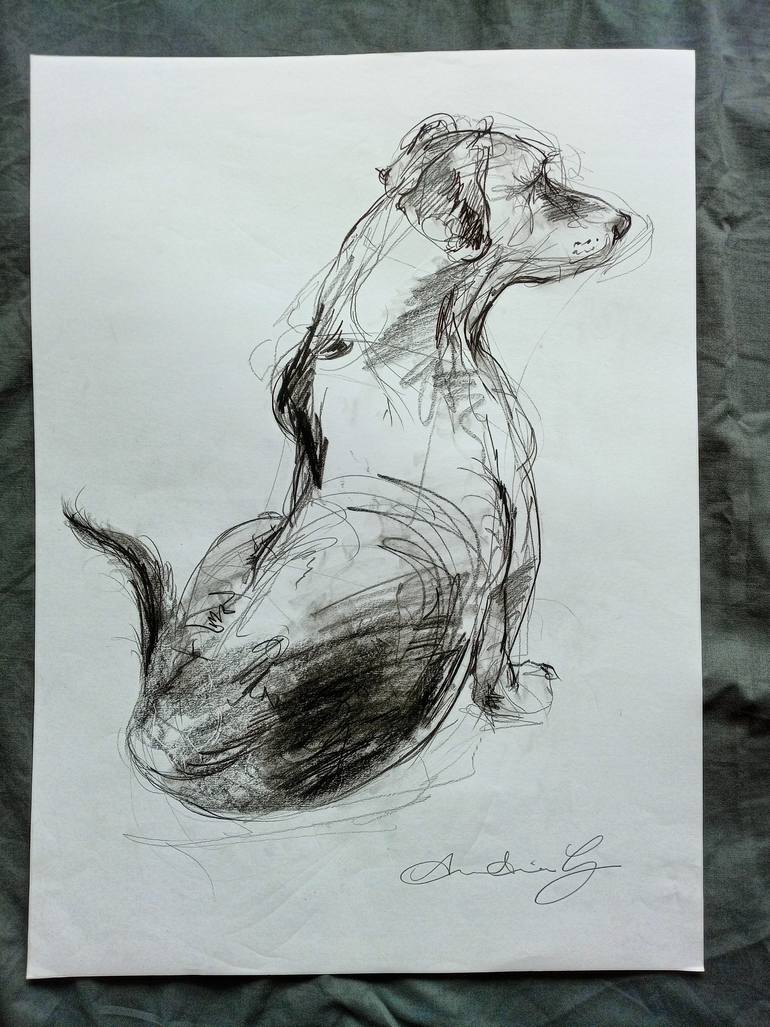 Original Expressionism Dogs Drawing by Anastasia Georgia Wildig