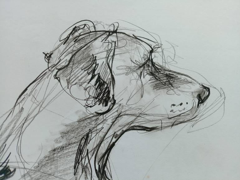 Original Expressionism Dogs Drawing by Anastasia Georgia Wildig