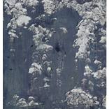 Regress by Cody Oyama