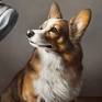 Portrait of corgi
