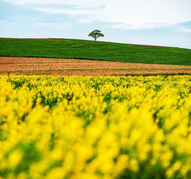 Original Landscape Photography by Shaun Lowe