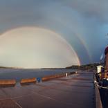 Theodore Rainbow by Shaun Lowe