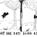 what are bats blind as cartoon by Yasha Harari