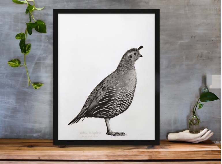 Original Black & White Animal Photography by Jodine Waghorn