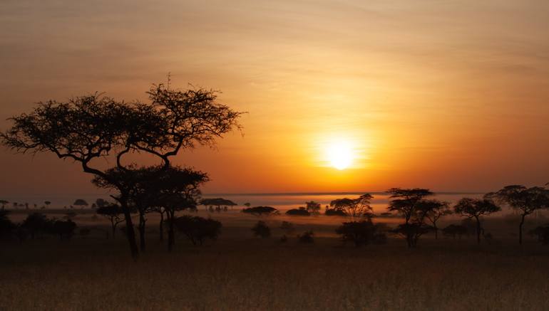 Original Landscape Photography by Sergey Agapov | Romanticism Art on Acrylic | Sunset in the Serengeti