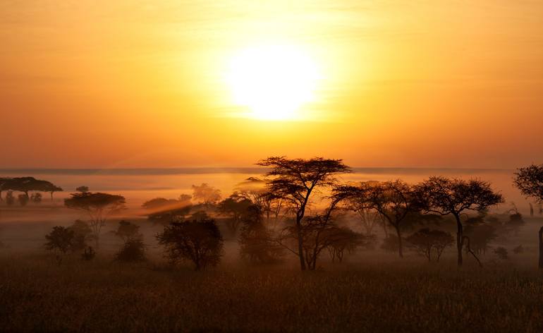 Original Landscape Photography by Sergey Agapov | Romanticism Art on Acrylic | Golden Sunset in the Serengeti