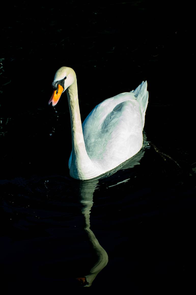 Original Color Field Painting Classical Mythology Photography by Aidan Dominguez