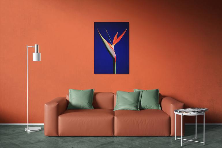 Original Pop Art Floral Photography by James Lauritz