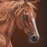 Collection Out West: The Other Art Fair LA Winter 2026