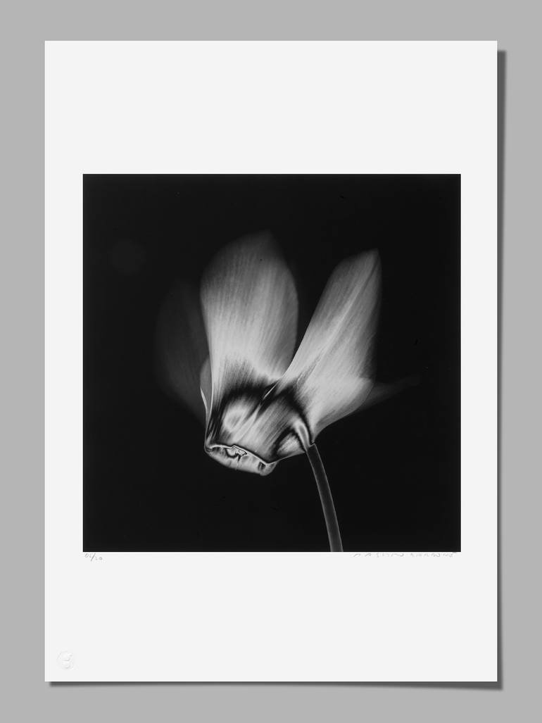 Original Minimalism Floral Photography by Massimo Gardone