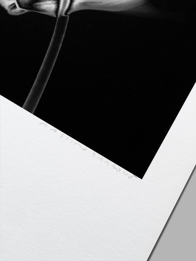 Original Minimalism Floral Photography by Massimo Gardone