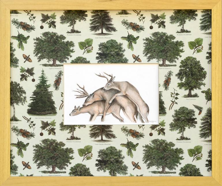 Original Figurative Animal Drawing by Paula Segarra Carlavilla