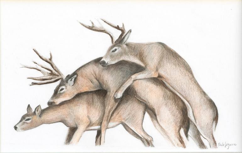 Original Figurative Animal Drawing by Paula Segarra Carlavilla