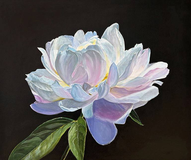 Original Floral Painting by Mira Solea | Realism Art on Canvas | White peony with pink and purple reflection.