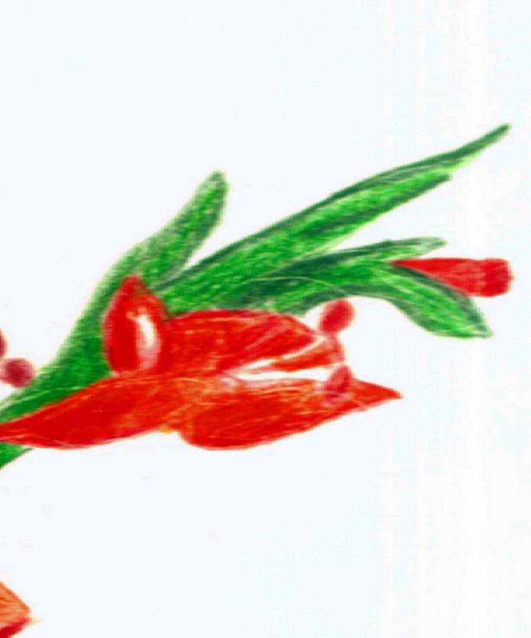 Original Illustration Botanic Drawing by Martina Ledermann