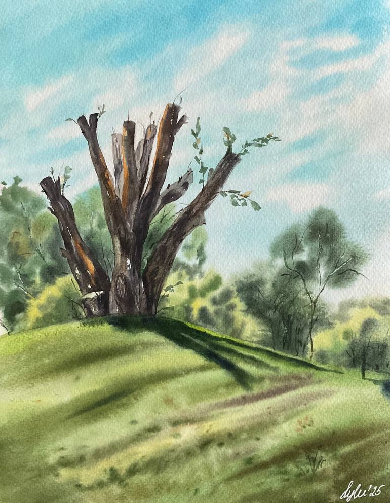 Original Landscape Painting by Natalya Gulina | Realism Art on Paper | The Old Tree of Al Muntazah Park
